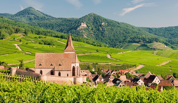 Alsace - Locations de vacances et appartements