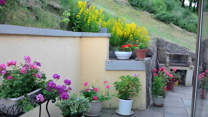 Chambre d’hôte pour 3 personnes, avec jardin dans les Vosges - 2