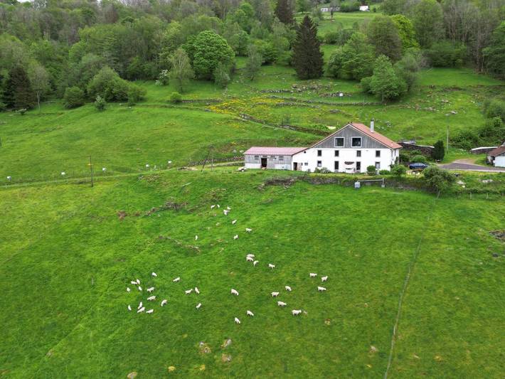 Chambre d’hôte pour 2 personnes, avec jardin dans les Vosges