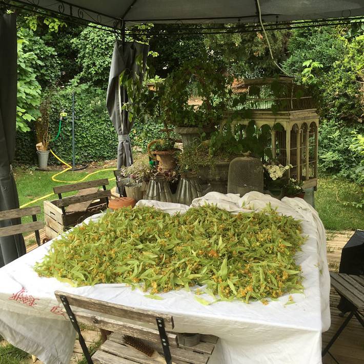 Chambre d’hôte pour 2 personnes, avec piscine et jardin dans le Vaucluse - 4