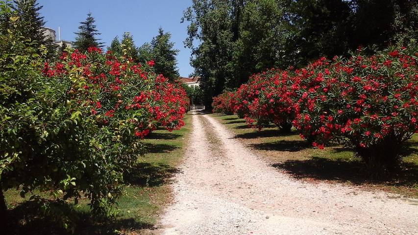 Chambre d’hôte pour 4 personnes, avec jardin et piscine dans le Vaucluse - 2