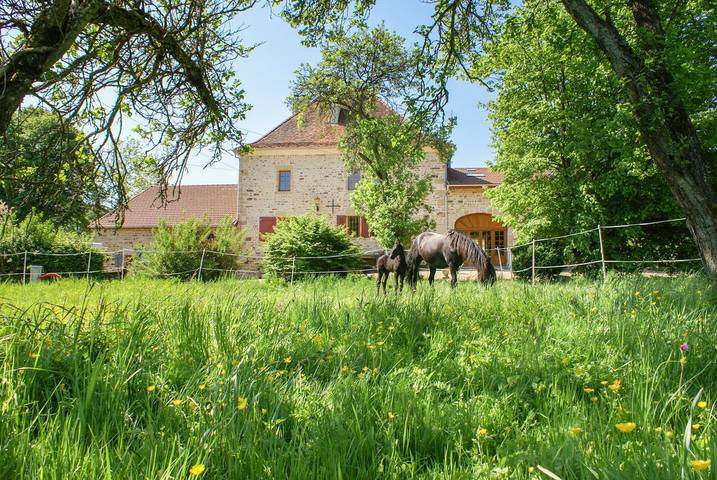 Château pour 8 personnes, avec jardin dans