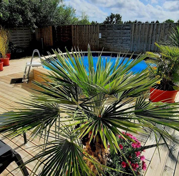 Chambre d’hôte pour 2 personnes, avec jacuzzi et piscine ainsi que terrasse et jardin en Normandie - 2