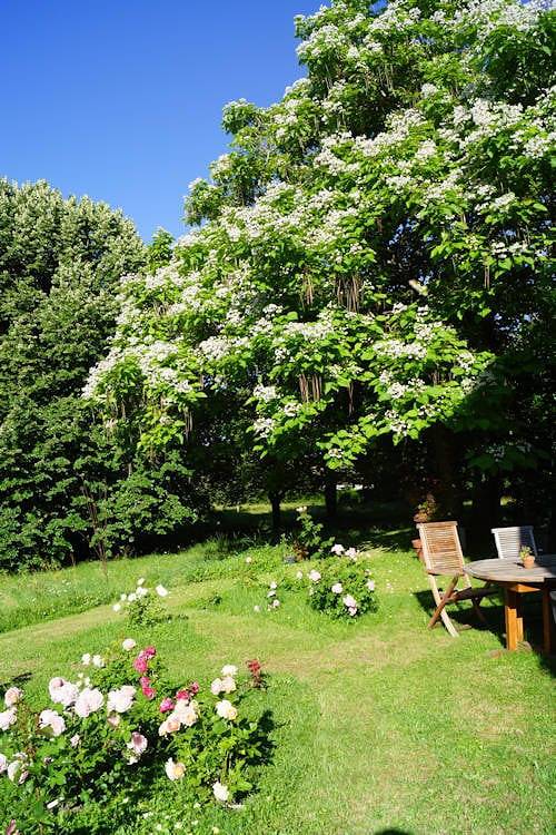 Chambre d’hôte pour 4 personnes, avec piscine et jardin dans le Jura - 4