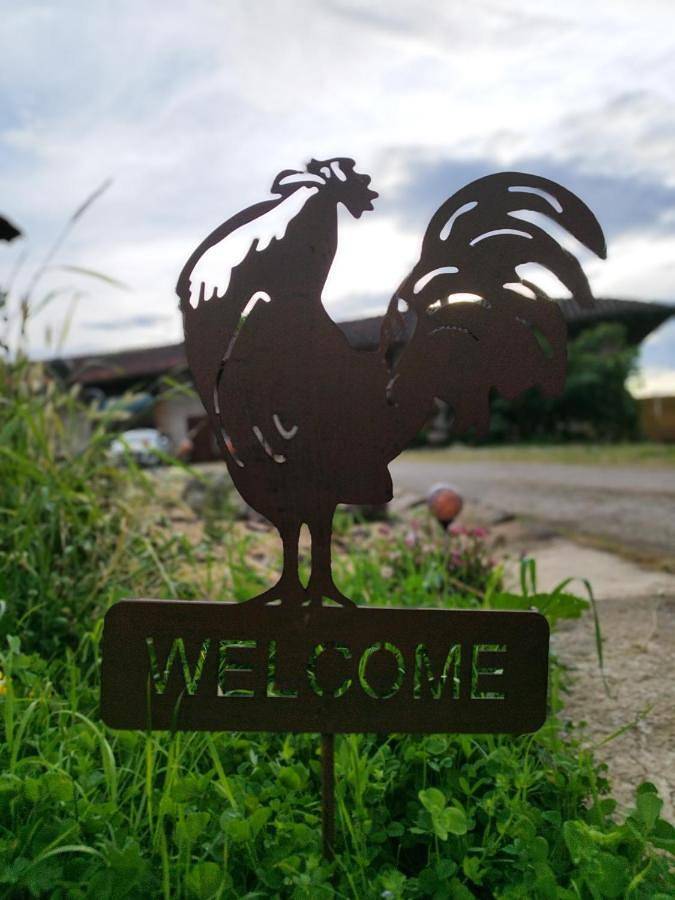Chambre d’hôte pour 2 personnes, avec piscine et balcon dans le Jura - 2