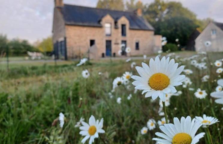 Chambre d’hôte pour 2 personnes, avec jacuzzi ainsi que jardin et piscine dans le Morbihan - 3