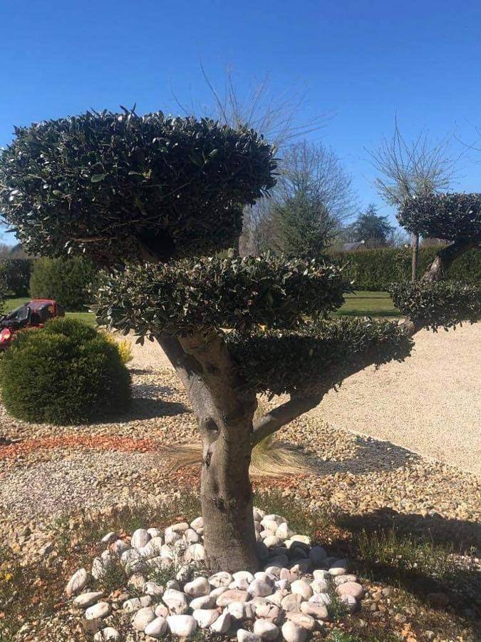 Chambre d’hôte pour 2 personnes, avec piscine et jardin ainsi que terrasse et vue en Loire-Atlantique - 3