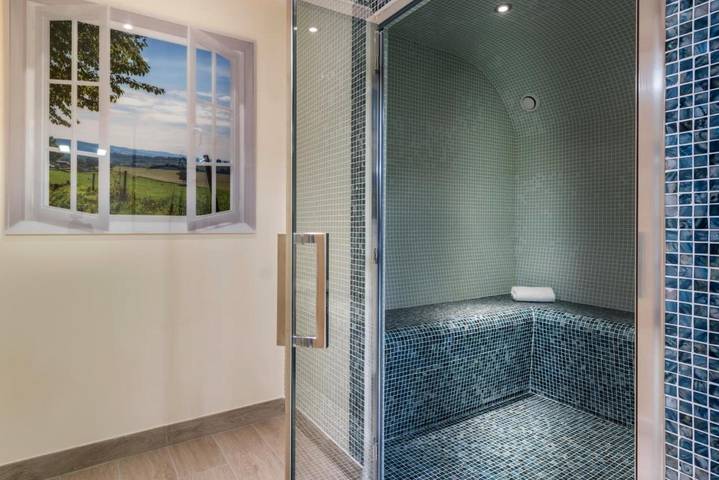 Chambre d’hôte pour 2 personnes, avec jardin et vue ainsi que piscine et sauna, animaux acceptés dans Seine-et-Marne - 4