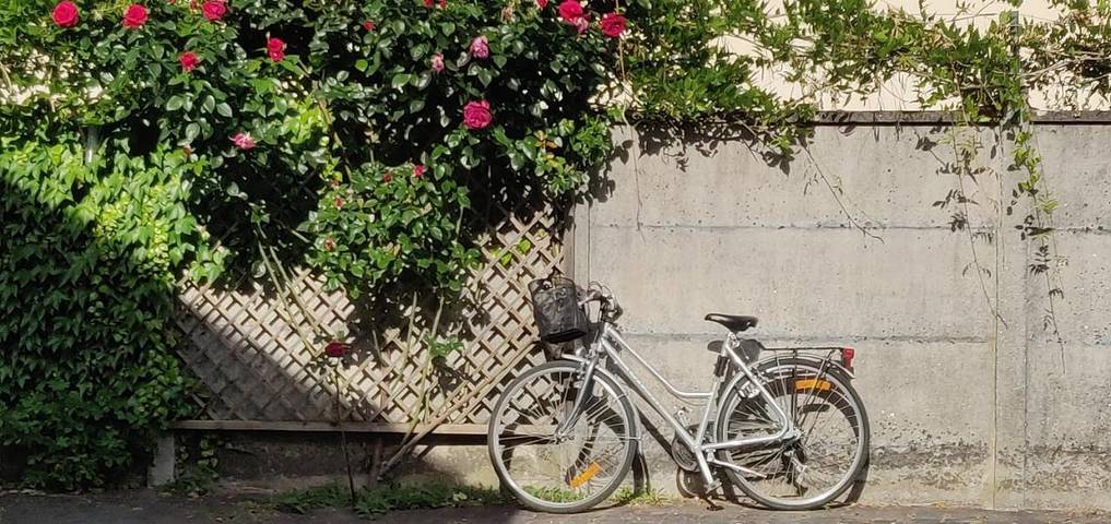 Chambre d’hôte pour 4 personnes, avec piscine ainsi que terrasse et jardin dans Seine-et-Marne - 2