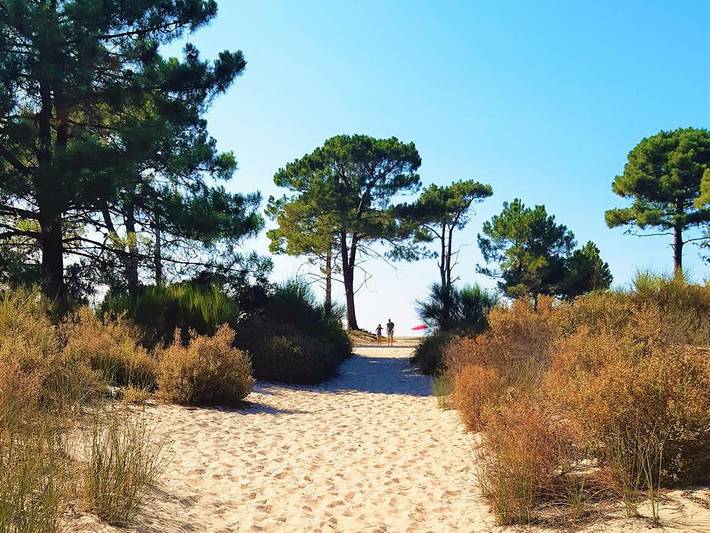 Chalet pour 4 personnes, animaux acceptés dans