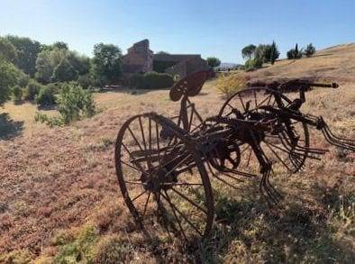 Chambre d’hôte pour 4 personnes, avec jardin et piscine, animaux acceptés dans l' Aveyron - 4