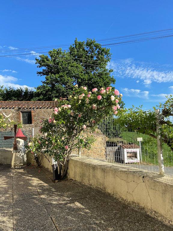 Chambre d’hôte pour 4 personnes, avec jardin et piscine ainsi que jacuzzi et terrasse, animaux acceptés en Vendée - 2