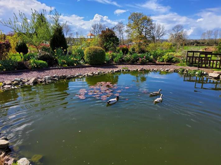 Chambre d’hôte pour 2 personnes, avec vue ainsi que jardin et piscine dans le Calvados - 2