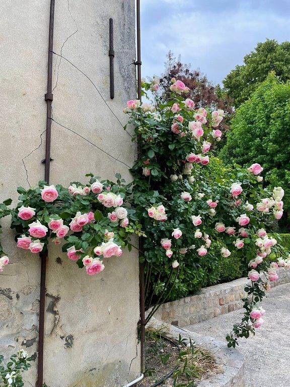 Chambre d’hôte pour 4 personnes, avec piscine et jardin dans Seine-et-Marne