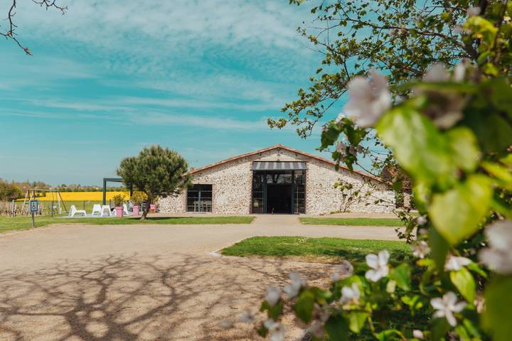 Gîte pour 10 personnes, avec jardin ainsi que jacuzzi et terrasse dans 