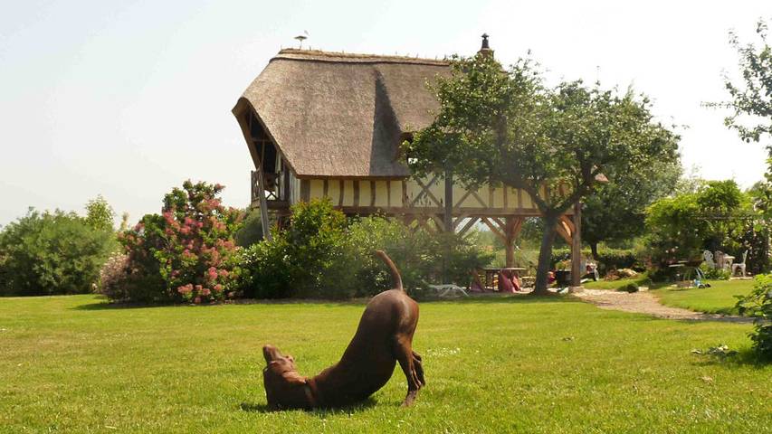 Chambre d’hôte pour 2 personnes, avec jardin et sauna en Normandie - 3