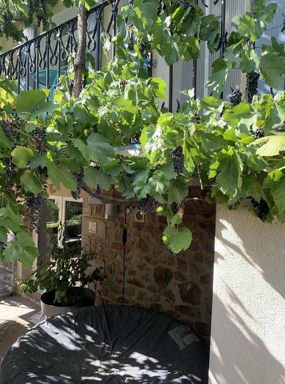 Chambre d’hôte pour 2 personnes, avec terrasse en Ardèche