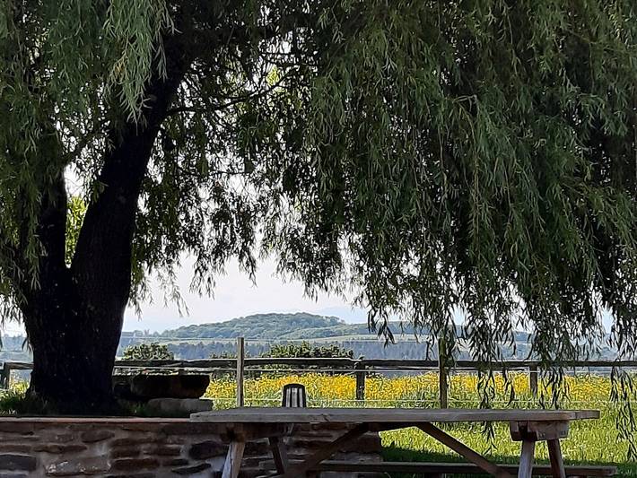 Chambre d’hôte pour 6 personnes, avec jardin et jacuzzi au Pays basque - 3