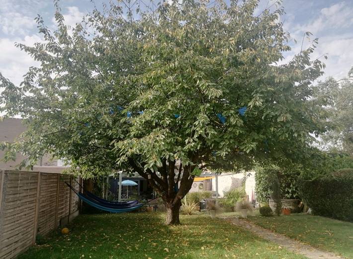 Chambre d’hôte pour 6 personnes, avec jardin dans
