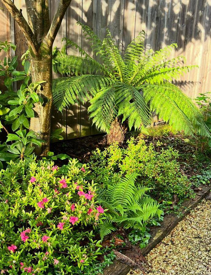Chambre d’hôte pour 4 personnes, avec vue ainsi que jardin et terrasse au Cap Ferret - 2