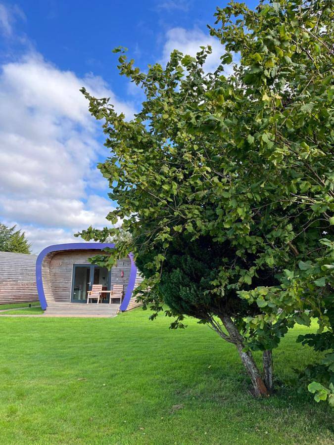 Chambre d’hôte pour 2 personnes, avec jardin et vue, animaux acceptés dans Écosse - 2