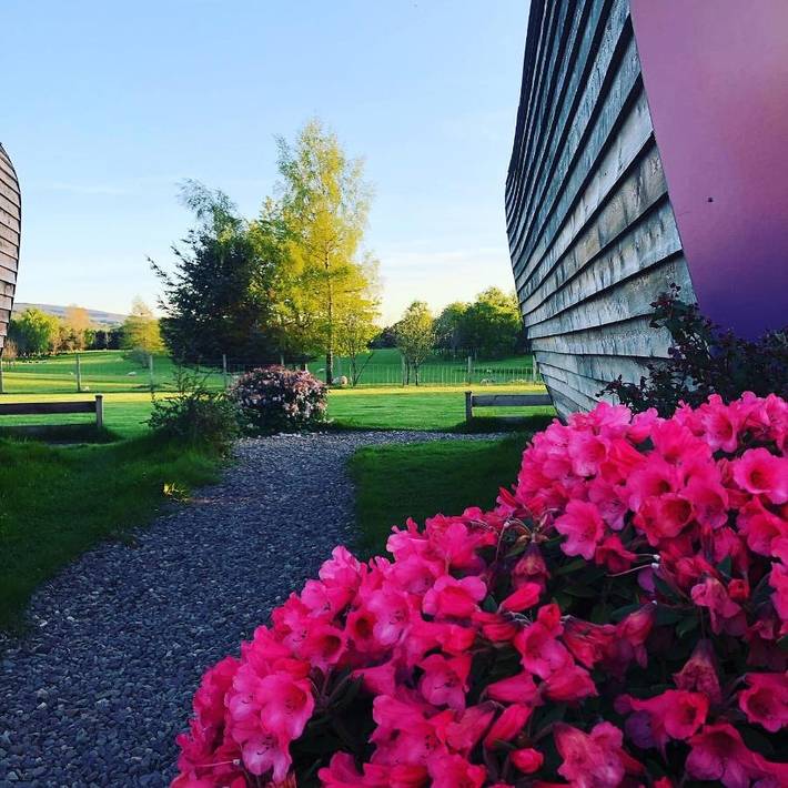 Chambre d’hôte pour 2 personnes, avec jardin et vue, animaux acceptés dans Écosse - 4