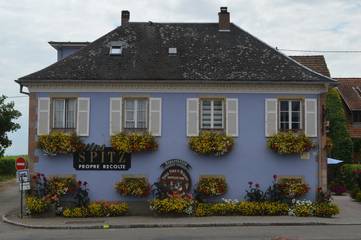 Chambre d’hôte pour 2 personnes, animaux acceptés en Alsace