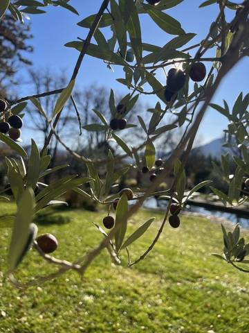 Chambre d’hôte pour 2 personnes, avec jardin et piscine dans la Drôme