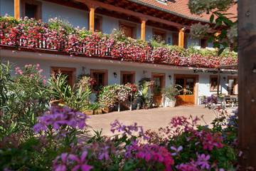 Chambre d’hôte pour 2 personnes, avec balcon en Alsace