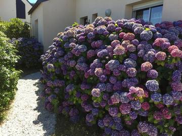 Chambre d’hôte pour 2 personnes, avec jardin en Bretagne